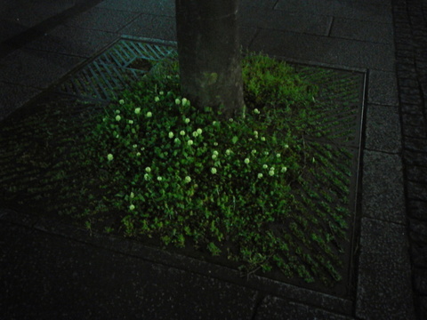 2015051419430000.jpg