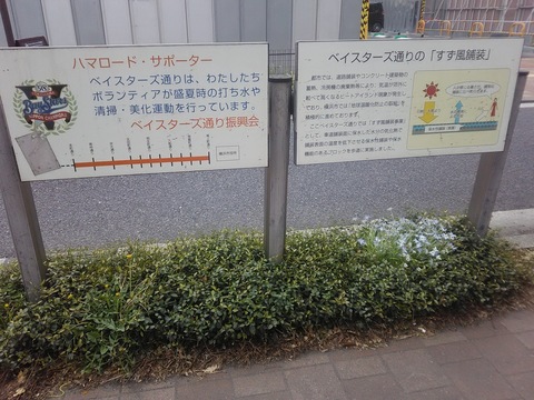DSC_0612.JPG