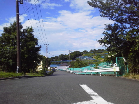P1000115.jpg