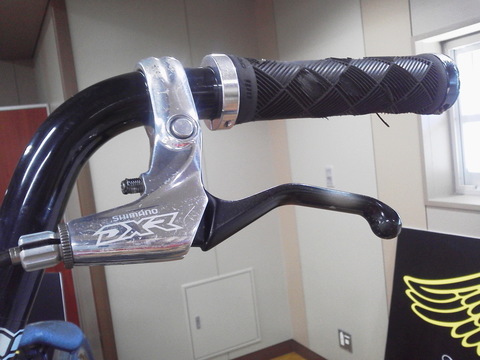 P1000253.jpg