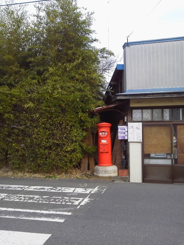 P1000284.jpg