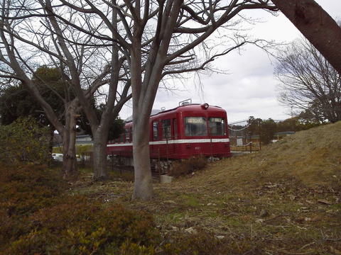 P1000285.jpg