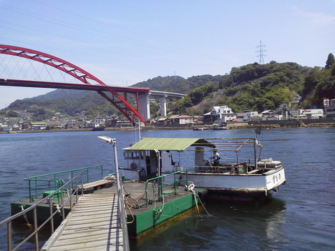 P1000377.jpg