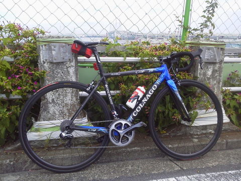 P1000390.jpg