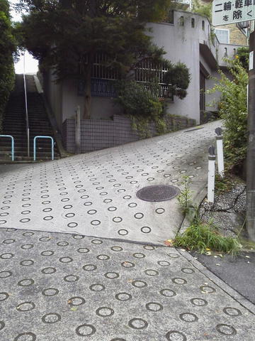 P1000424.jpg
