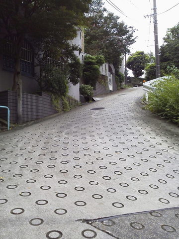 P1000425.jpg