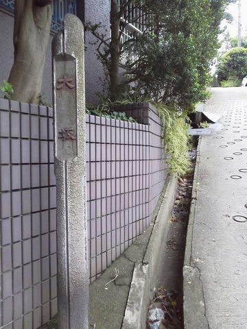P1000427.jpg