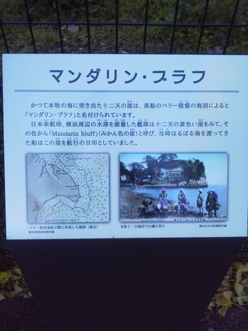 P1000497.jpg