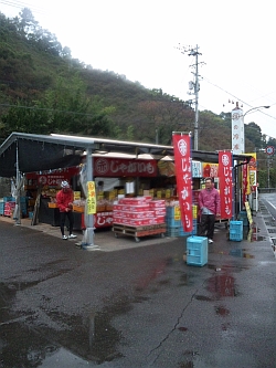 広島 安芸津 マル赤じゃがいも