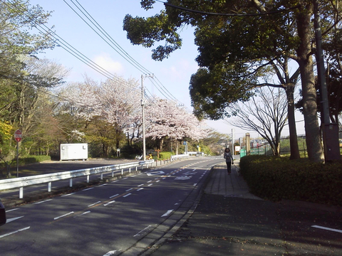 2015040207260000.jpg