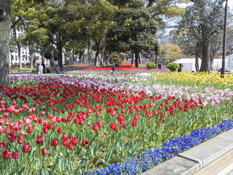 2015040909530000.jpg