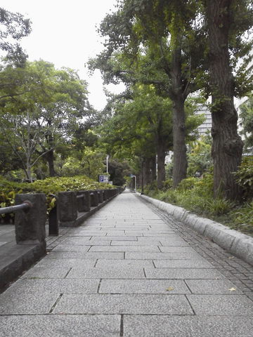 2015081918110000.jpg