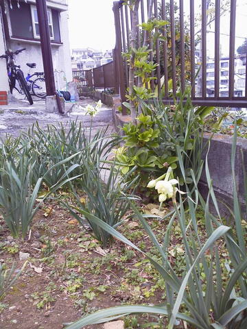 2015122310080000.jpg