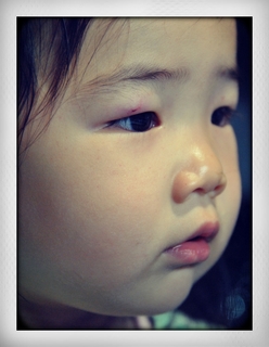 BeFunky_DSC_0086.jpg.jpg