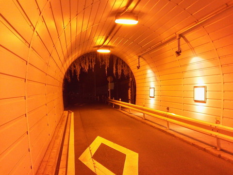 P1000162.jpg