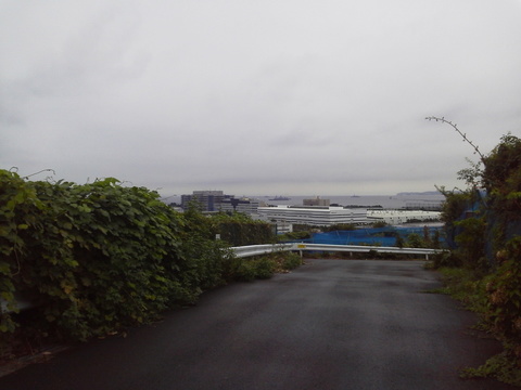 P1000164.jpg