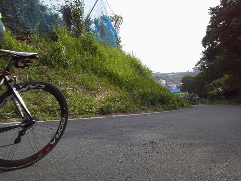 P1000178.jpg