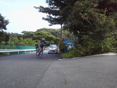 P1000196.jpg