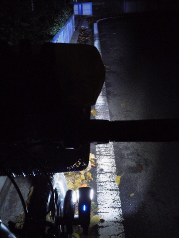 P1000279.jpg