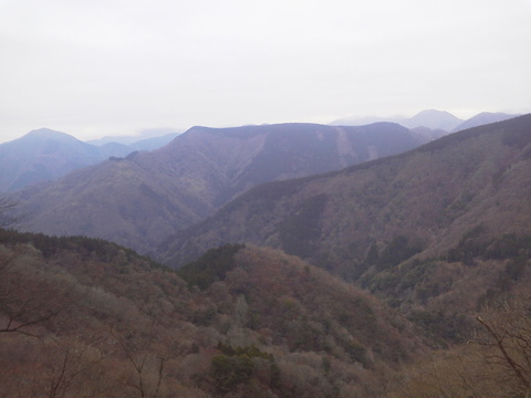 P1000339.jpg