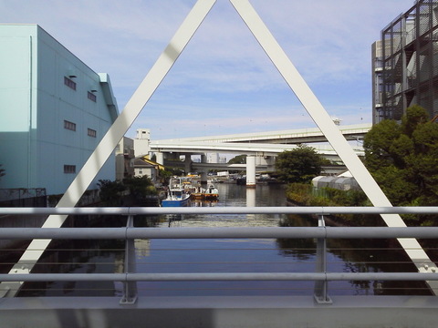 P1000414.jpg