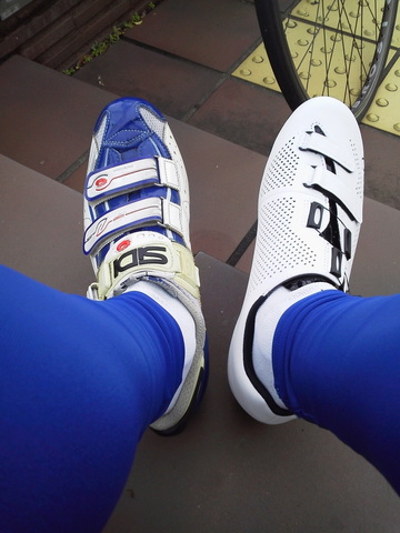 P1000459.jpg