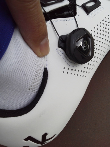 P1000462.jpg