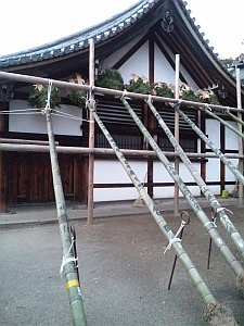 東大寺 お松明